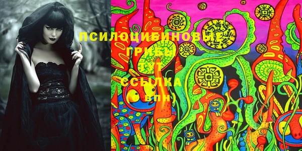 круглые Корсаков