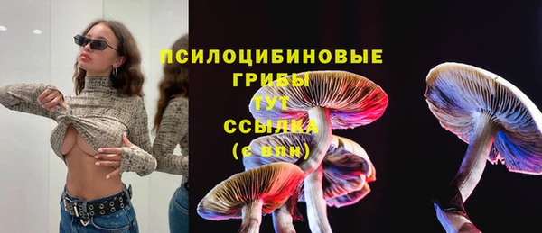 круглые Корсаков