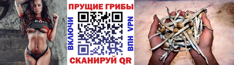 Псилоцибиновые грибы ЛСД ОМГ ОМГ сайт Чёрмоз сколько стоит